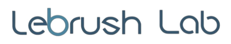 LEBRUSH LAB - Tech Triangle